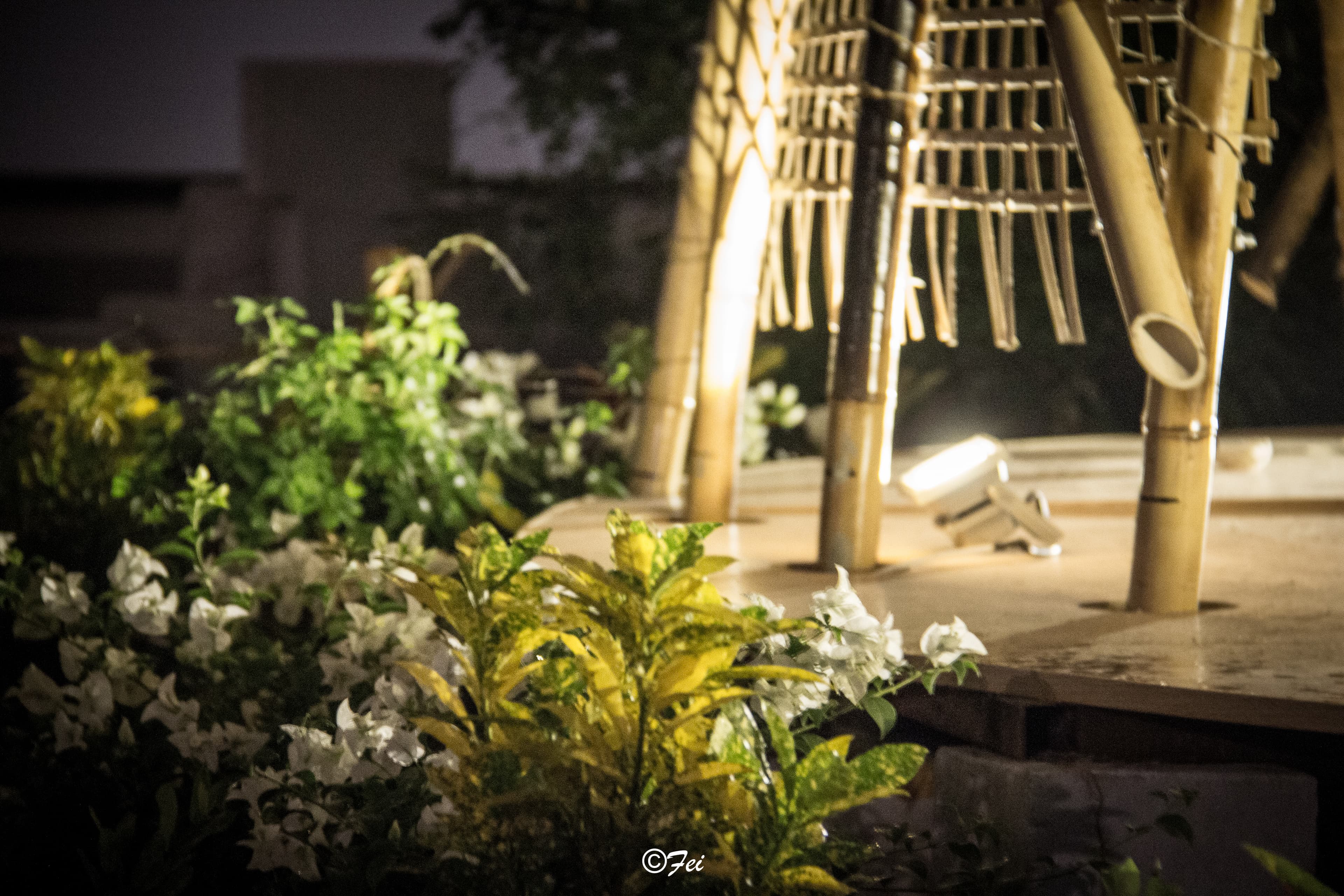 Project view 04